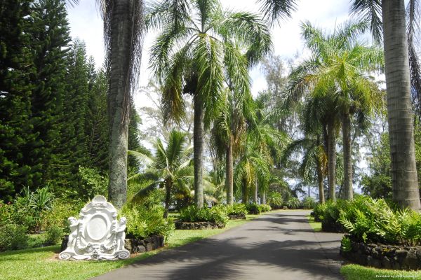 Palms Cliff House Inn (Honomu)